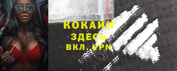 сатива Аркадак