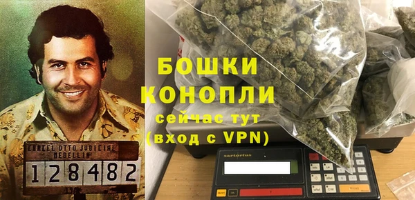 сатива Аркадак