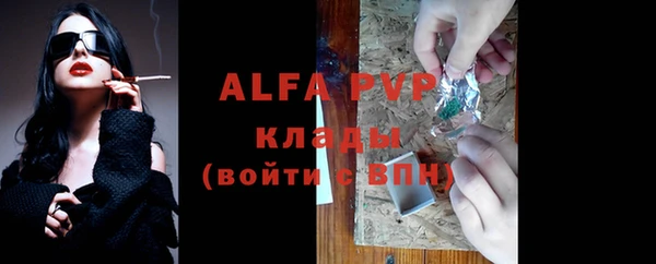 сатива Аркадак