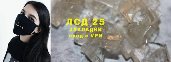 сатива Аркадак