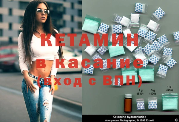 сатива Аркадак