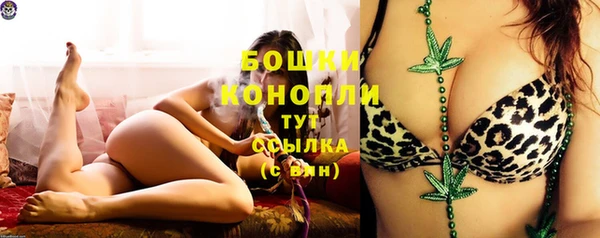 трава Арсеньев