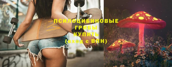 винт Армянск