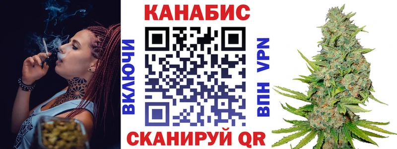 Бошки Шишки планчик Саров